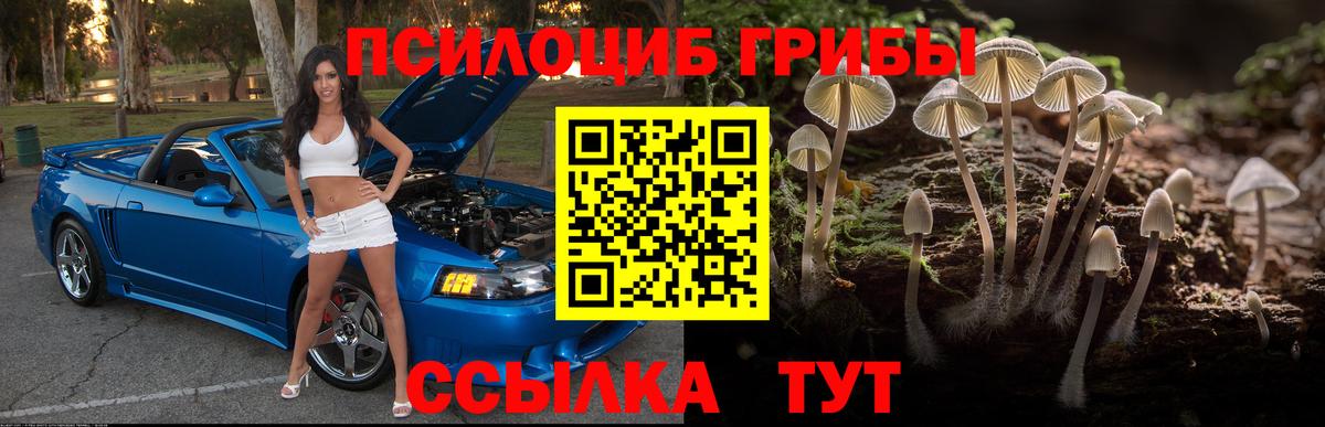 Галлюциногенные грибы мицелий Кувандык