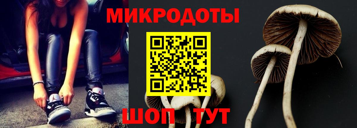 магазин  наркотиков  Галлюциногенные грибы GOLDEN TEACHER  Вход с VPN  Галлюциногенные грибы Magic Shrooms  Кувандык 