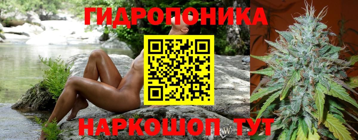 Канабис SATIVA & INDICA Кувандык